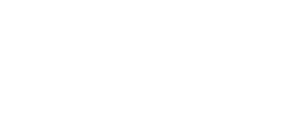 VolksWoning Logo